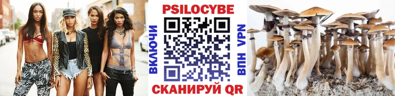 закладки  Жердевка  Галлюциногенные грибы ЛСД 