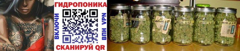 купить наркоту  Жердевка  Бошки марихуана AK-47 